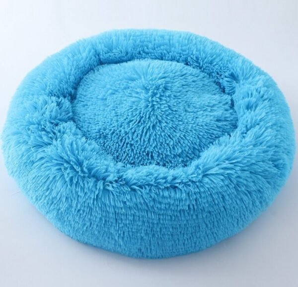 pet room - Image 6