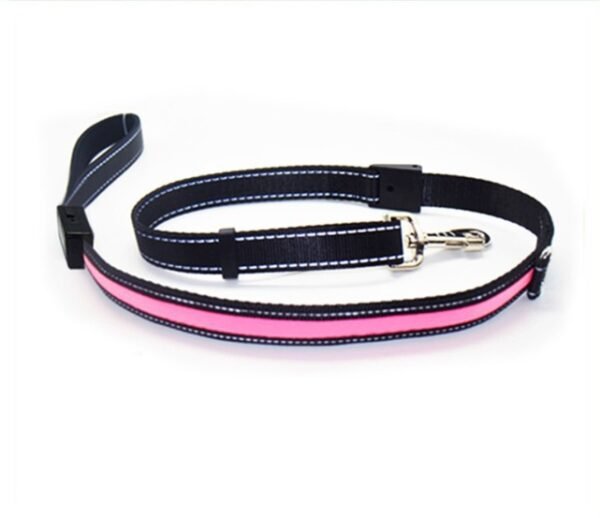 Fluorescent dog collar - Image 10