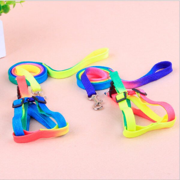 Leashes colorful leashes - Image 4