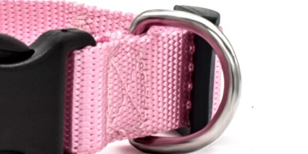 New Pet Collar - Image 3