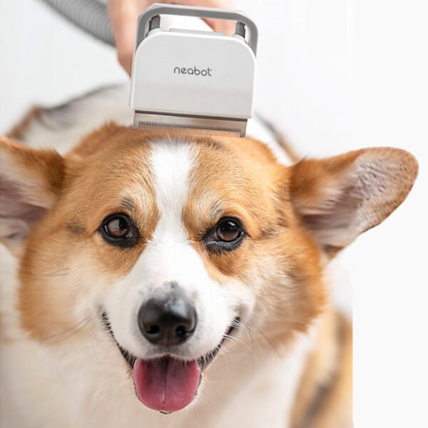 Pet Grooming Tool For Shaving And Grooming - Image 3