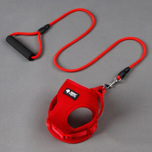 Dog leash & harness - Image 6