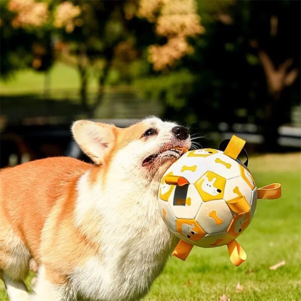 Dog Interactive Football Toys Training Balls Pet Sporty Bite Chew Teething Ball With Cute Printing - Image 2