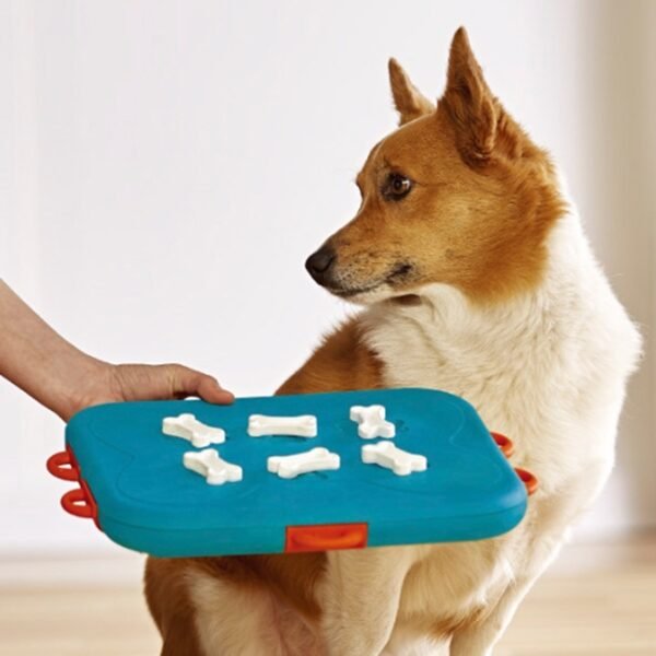 Dog food leaker educational toy - Image 5