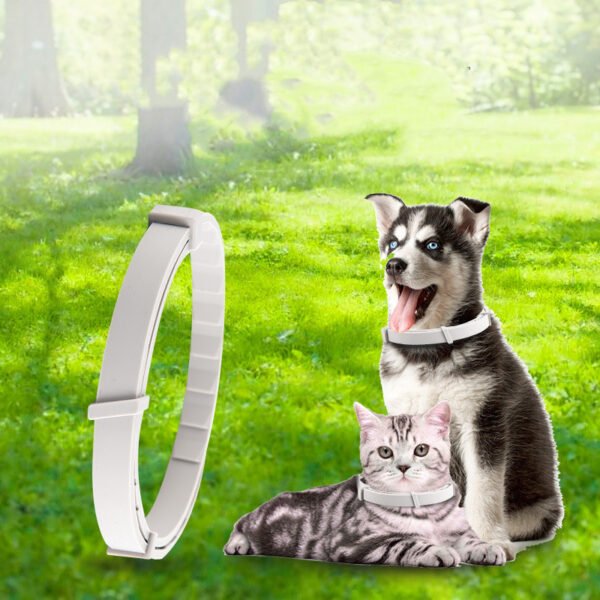 Pet Anti-mosquito Collar Cat Dog Adjustable Insect Repellent Collar Pet Supplies - Image 3