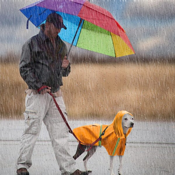 Spring and summer new dog raincoat waterproof cape dog reflective raincoat large dog raincoat - Image 3
