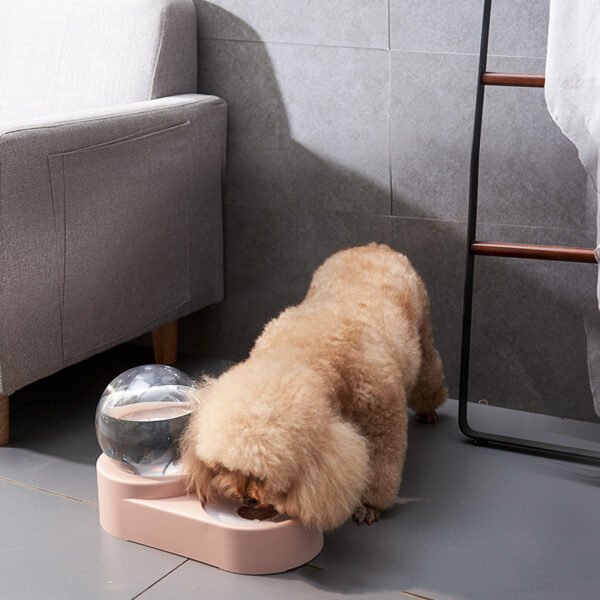 Automatic Cat Dog Water Dispenser with Bowl Nonelectric - Image 2