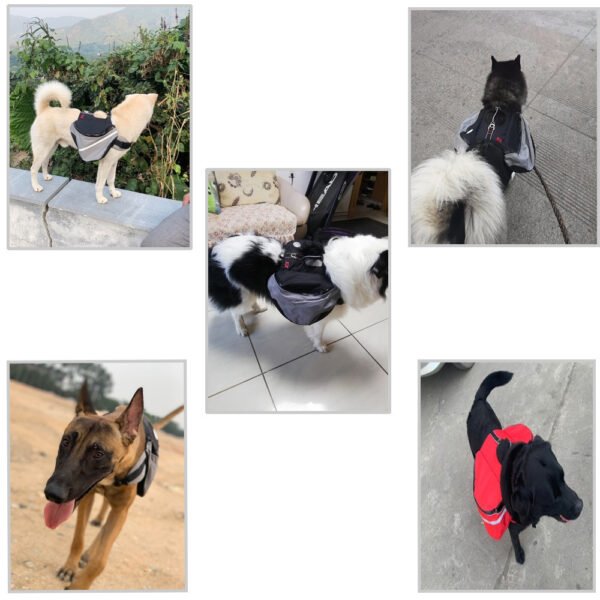 Dogs go out from backpack - Image 3