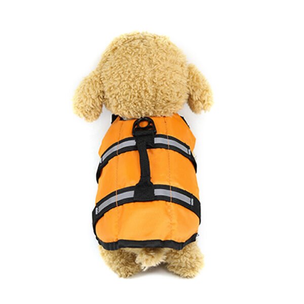 Large and small dogs - Image 4