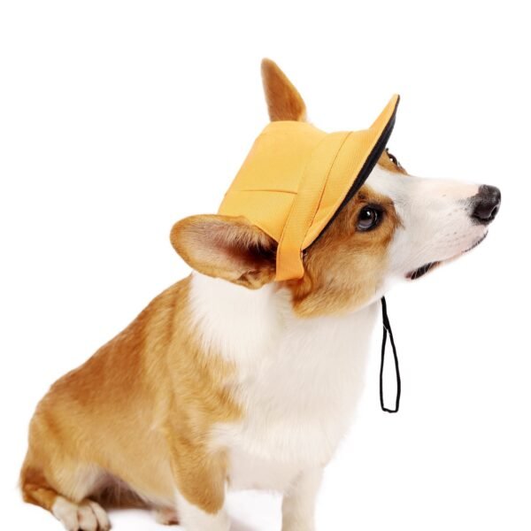 Pet Supplies New Fashionable Oxfordand Dog Costume Hat Baseball Outdoor Tourist Sun Hat - Image 3