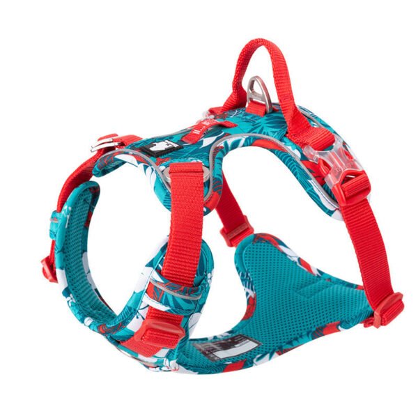 Dog leashes dog chain vest vest straps - Image 5