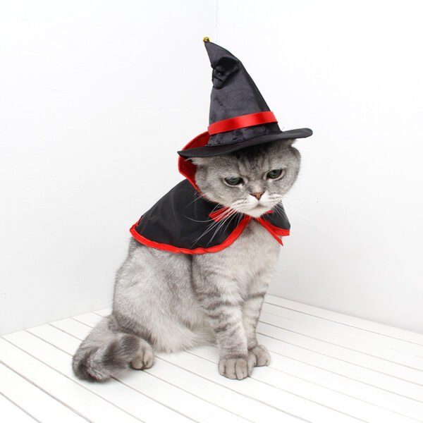 Halloween Warm  Pet Cloak - Image 7