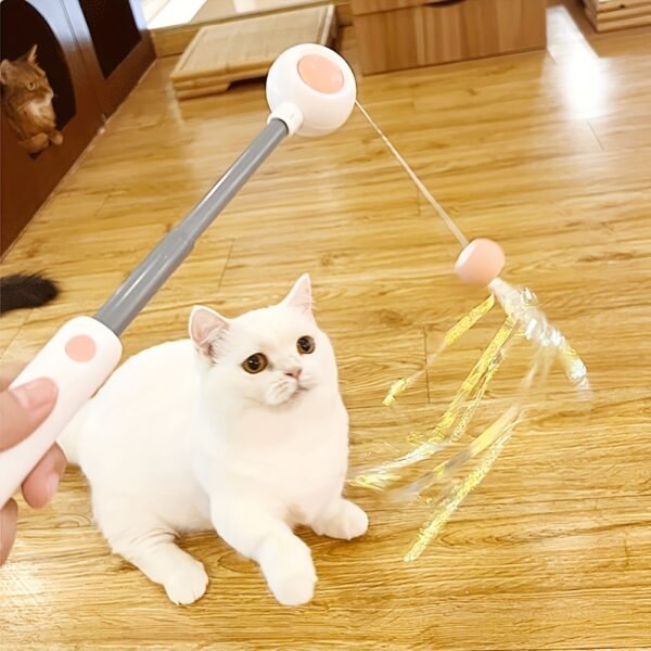 Cat Teaser Stick, Retractable Cat Wand With Replacement Head, Cat Feather Toy, Cat Interactive Toy For Indoor Cats For Relief Boredom And Exercise - Image 6