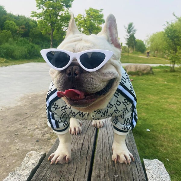 Zip Up Dog Clothing Jacket Stretchy Pet Clothes - Image 4