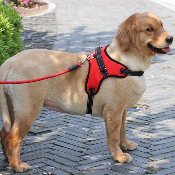 Nylon Medium Large Dog Harness Collar K9 Padded Extra Reflective Collar