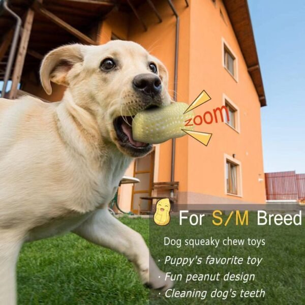 Funny Pet Dog Squeaky Toys For Small Middle Dogs Bite Resistant Puppy Cat Dogs Toys Pets Rubber Peanut Clean Tooth Chew Toy - Image 5