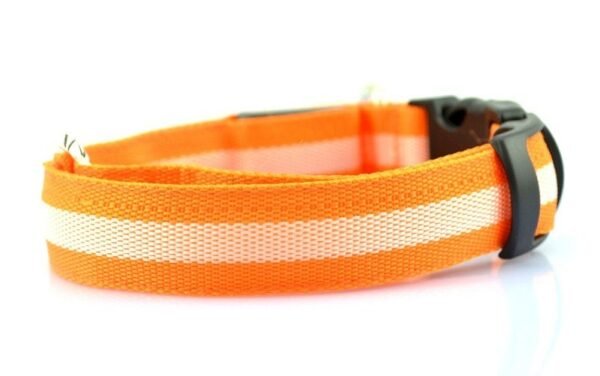 Manufacturer's spot 2.5cm stripe fiber LED luminous pet collar dog ring 6 color 3 size - Image 7