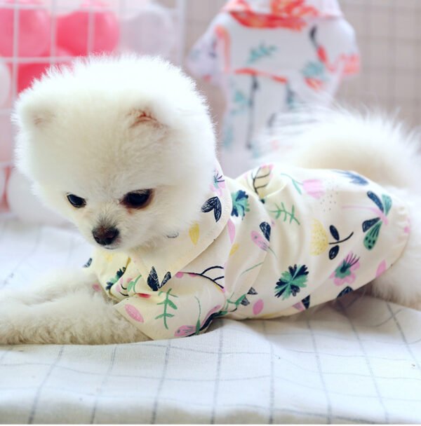 Small dog than the bear pomei thin summer cute shirt - Image 3
