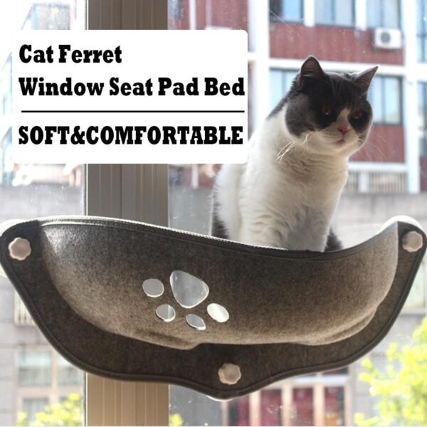 Suction cup cat sun hammock