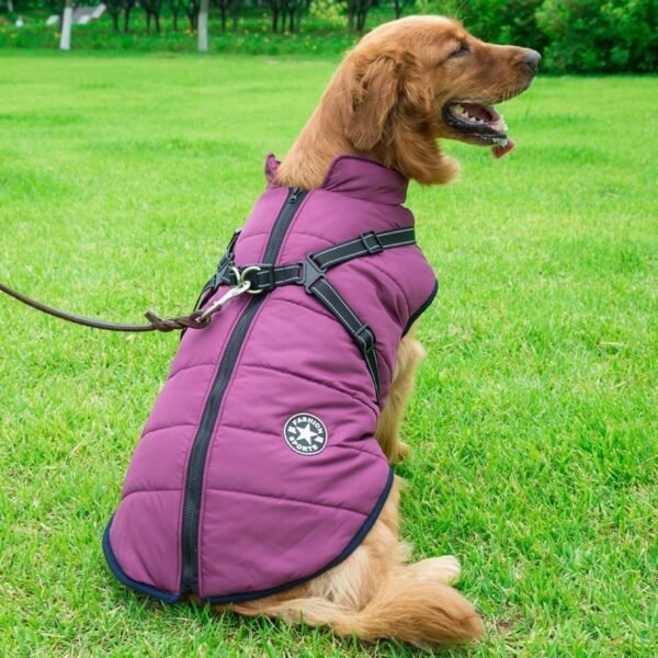 Dog Clothes Chest Back Integrated Cotton Vest Pet Cotton Clothes Winter Clothes - Image 5