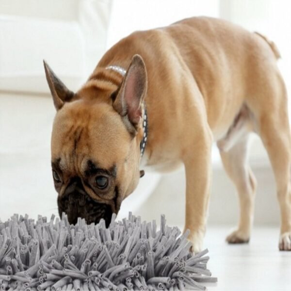 Pets. Sniffing pads. Exhausting energy - Image 5