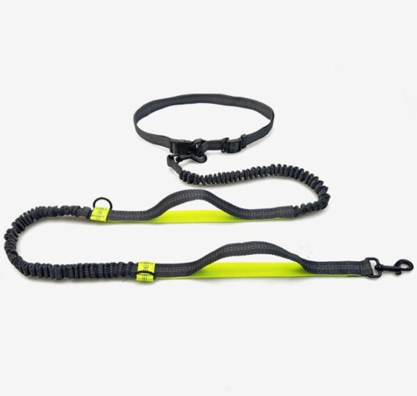 Amazon direct pet supplies multi-function running reflective pull dog leash double elastic dog leash traction - Image 8