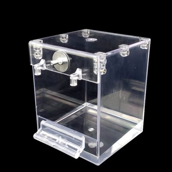 External Bird Bath Transparent Bath Square Basin Bird Supplies Pet Supplies - Image 4