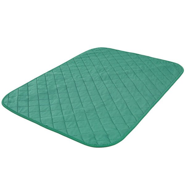Natural Bamboo Fiber Pet Fixed-point Training Deodorant Moisture-proof Dog Mat - Image 5