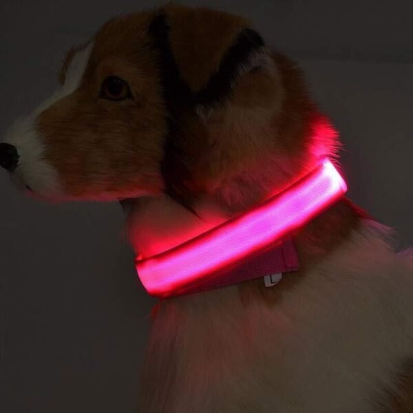 Nylon LED Pet Dog Luminous Collar Night Safety Flashing Glow in Dark Dog Cat Leash Adjustable Pet Supplies - Image 2