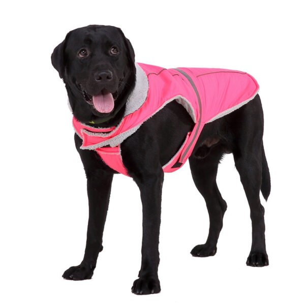 Pet clothes winter clothes night reflective pet clothes - Image 3
