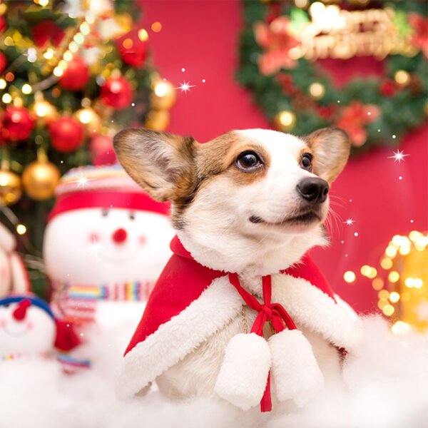 Pet New Year Festive Clothes Dog Cat Christmas Day Cloak - Image 6
