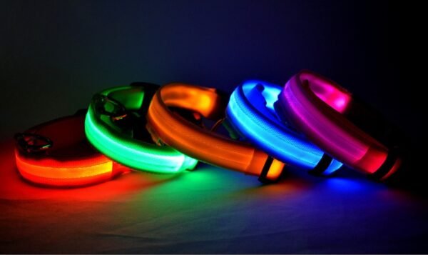 Nylon LED Pet Dog Luminous Collar Night Safety Flashing Glow in Dark Dog Cat Leash Adjustable Pet Supplies - Image 7