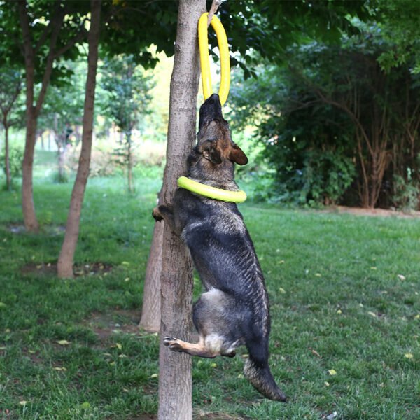 Pet Dog Training Toy Pull Ring - Image 4