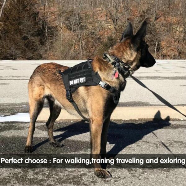 Training Dog Leash - Image 4