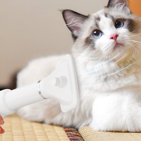 Pet Hair Dryer Comb For Cats And Dogs - Image 2
