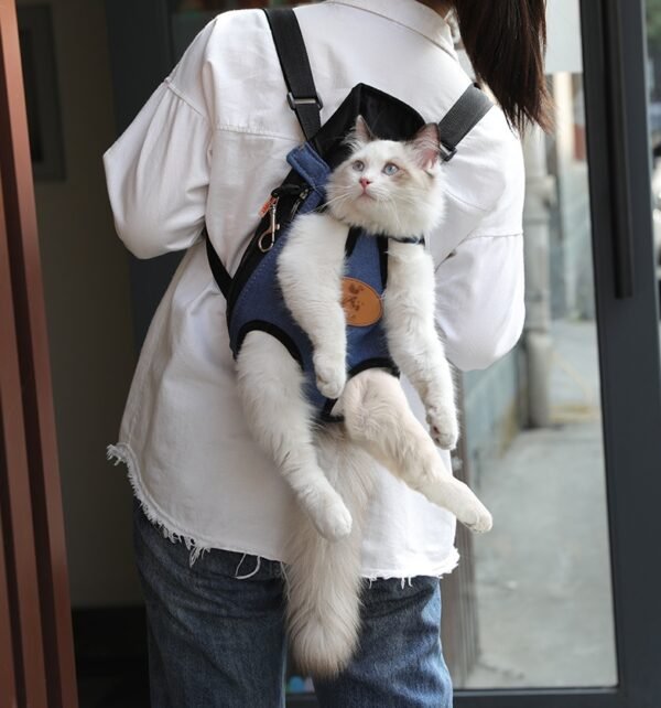 Portable cat backpack for spring outing - Image 3