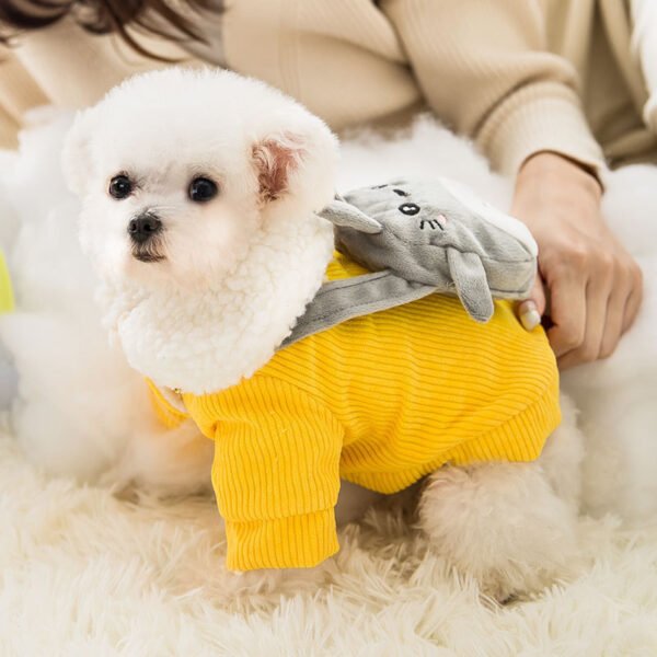 Corduroy pet clothes - Image 4