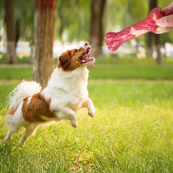 Pet Toy Bone Dog Molar Stick Bite Resistant Large Dog Molar Rubber Dog Chew Toy - Image 3