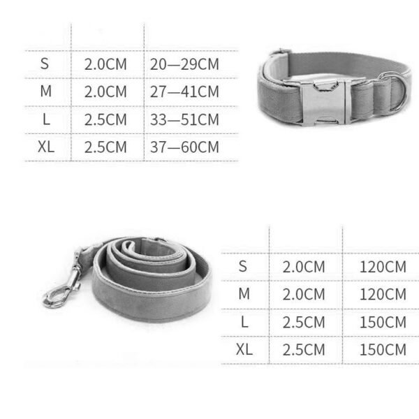 Dog Leash Pet Collar With Alloy Carabiner - Image 8