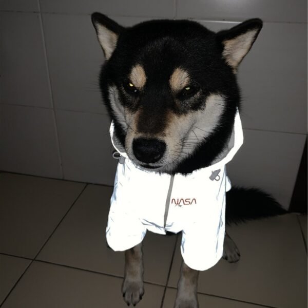 Tide Brand Windproof Rainproof Reflective Space Suit Pet Raincoat - Image 4