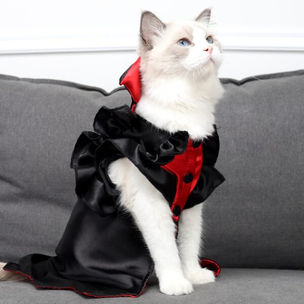 Cat Halloween Vampire Transformation Costume - Image 4