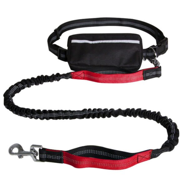 Nylon Reflective Retractable Running Hands Free Dog Leash - Image 4