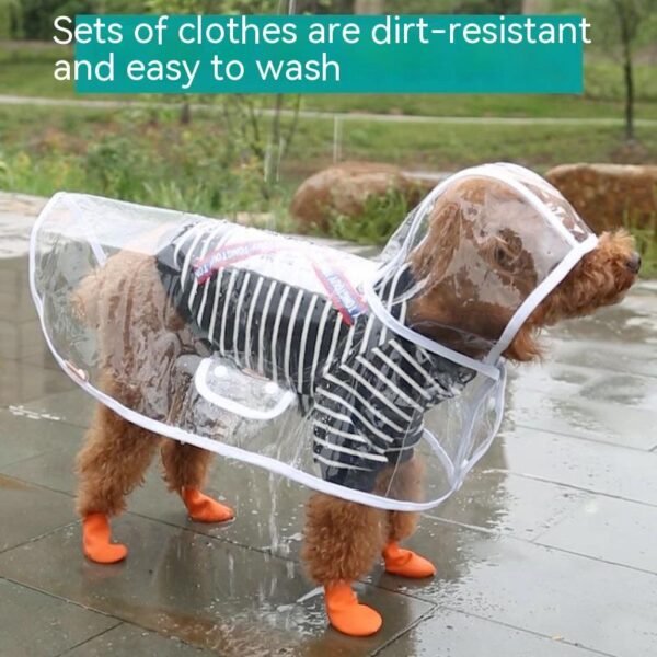 Pet Raincoat Dog Small Dog - Image 8