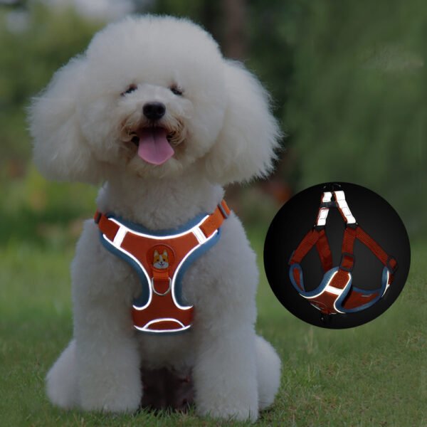 New Dog Leash And Harness Set Pet Dog Harness And Leash Set Adjustable Puppy Cat Harness Vest Reflective Walking No Pull Lead Leash For Small Dogs Chihuahua - Image 3