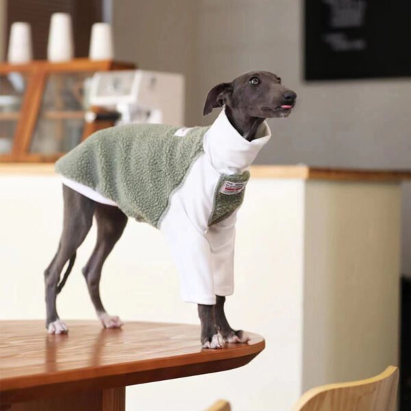 Small And Medium Dog Clothes Whybit Greyhound Accessories - Image 5