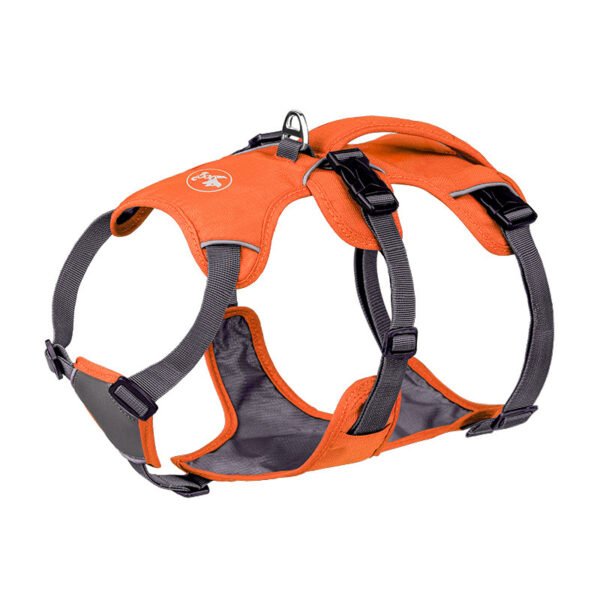 Pet Harness Dog Hand Holding Rope - Image 3