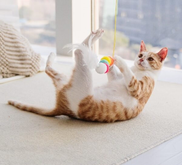 Cat Toys Simulated Caterpillar Funny Self-hey Interactive Toy Rope Grabbing Mouse Telescopic Hanging - Image 3