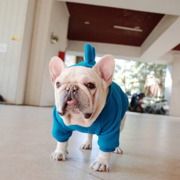 Pet Apparel Fleece Solid Color Hoodie - Image 4