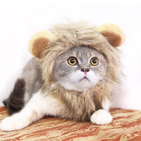 Funny Pet Hat For Small Dogs Cats Hat Emulation Lion Hair Mane Ears Head Cap
