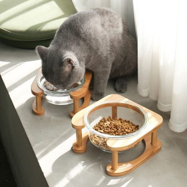 Glass cat bowl cat food bowl cat food bowl - Image 3